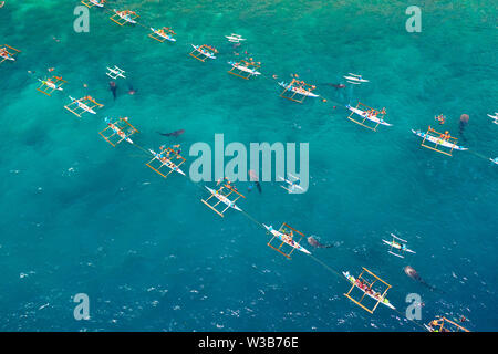 Les touristes sont à regarder les requins baleines dans la région de la ville de Oslob, Philippines, vue aérienne. Billet d'été et vacances. Banque D'Images