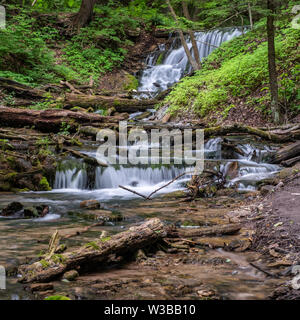 L'eau serpente à travers bois et rochers après avoir chuté en tisserands Creek Falls, près de Owen Sound, en Ontario. Banque D'Images