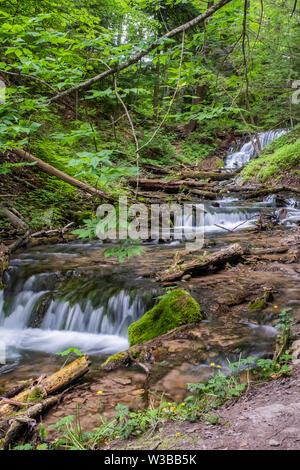 L'eau serpente à travers bois, rochers et vers le bas trois petites chutes de tisserands Creek, près de Owen Sound (Ontario). Banque D'Images
