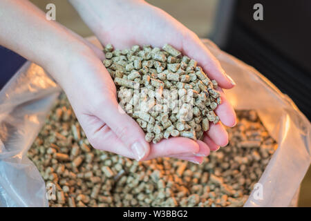 Tas de bois naturel pour le chauffage pellets in women's hands. Eco Energy concept, bio fuel Banque D'Images