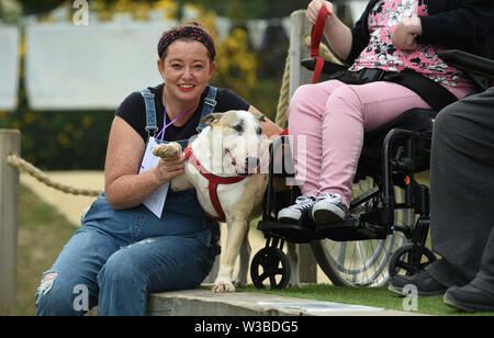 Brighton UK 14 Juillet 2019 - Les chiens et leurs propriétaires obtenir vers le bas pour un mélange de danser en discothèque et un jeu de bingo qu'ils prennent part à la première mondiale de la Pop Disco Bingo Doggy show qui a eu lieu au Théâtre de plein air de Brighton aujourd'hui. Crédit : Simon Dack / Alamy Live News Banque D'Images