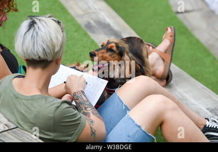 Brighton UK 14 Juillet 2019 - Les chiens et leurs propriétaires obtenir vers le bas pour un mélange de danser en discothèque et un jeu de bingo qu'ils prennent part à la première mondiale de la Pop Disco Bingo Doggy show qui a eu lieu au Théâtre de plein air de Brighton aujourd'hui. Crédit : Simon Dack / Alamy Live News Banque D'Images