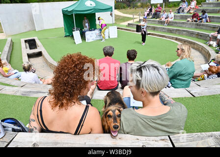 Brighton UK 14 Juillet 2019 - Les chiens et leurs propriétaires obtenir vers le bas pour un mélange de danser en discothèque et un jeu de bingo qu'ils prennent part à la première mondiale de la Pop Disco Bingo Doggy show qui a eu lieu au Théâtre de plein air de Brighton aujourd'hui. Crédit : Simon Dack / Alamy Live News Banque D'Images