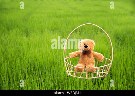 Photo extérieur dynamique de l'ours en peluche assis sur le chantier au parc avec la fleur blanche et verte de l'herbe Banque D'Images