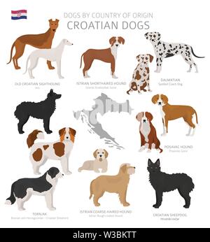 Chiens par pays d'origine. Chiens de races croate. Bergers, La chasse, l'élevage, de jouets, de travail et les chiens de service défini. Vector illustration Illustration de Vecteur