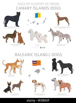 Chiens par pays d'origine. Canaries et les Baléares races de chien. Bergers, La chasse, l'élevage, de jouets, de travail et les chiens de service défini. Vector illustrati Illustration de Vecteur