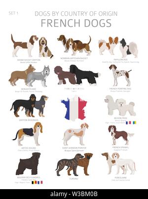 Chiens par pays d'origine. Chiens de races françaises. Bergers, La chasse, l'élevage, de jouets, de travail et les chiens de service défini. Vector illustration Illustration de Vecteur