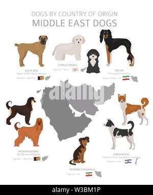 Chiens par pays d'origine. Moyen Orient les races de chiens. Bergers, La chasse, l'élevage, de jouets, de travail et les chiens de service défini. Vector illustration Illustration de Vecteur