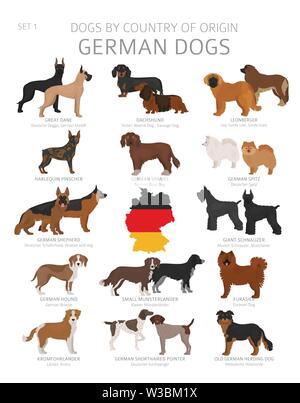 Chiens par pays d'origine. German races de chien. Bergers, La chasse, l'élevage, de jouets, de travail et les chiens de service défini. Vector illustration Illustration de Vecteur