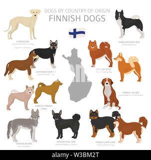 Chiens par pays d'origine. Finnish races de chien. Bergers, La chasse, l'élevage, de jouets, de travail et les chiens de service défini. Vector illustration Illustration de Vecteur