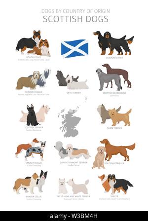 Chiens par pays d'origine. Scottish races de chien. Bergers, La chasse, l'élevage, de jouets, de travail et les chiens de service défini. Vector illustration Illustration de Vecteur