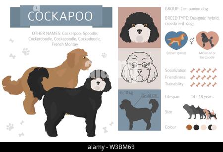 Concepteur, rocé, mélange hybride chiens collection isolated on white. Télévision clipart style défini. Vector illustration Illustration de Vecteur