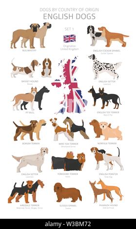 Chiens par pays d'origine. Les races de chiens anglais. Bergers, La chasse, l'élevage, de jouets, de travail et les chiens de service défini. Vector illustration Illustration de Vecteur