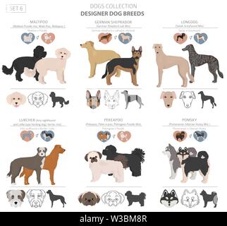 Les chiens concepteur, rocé, mélange hybride de chats collection isolated on white. Télévision clipart style défini. Vector illustration Illustration de Vecteur