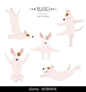 Les chiens et les exercices de yoga pose. Bull Terrier clipart. Vector illustration Illustration de Vecteur