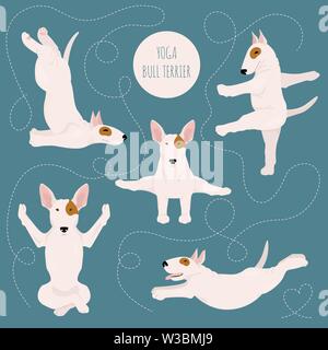 Les chiens et les exercices de yoga pose. Bull Terrier clipart. Vector illustration Illustration de Vecteur