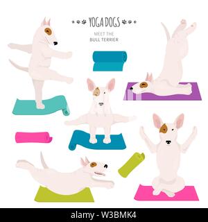 Les chiens et les exercices de yoga pose. Bull Terrier clipart. Vector illustration Illustration de Vecteur