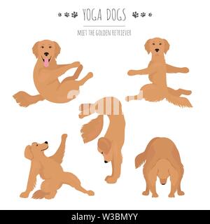 Les chiens et les exercices de yoga pose. Clipart golden retriever. Vector illustration Illustration de Vecteur