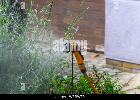 Jardin Portable système d'irrigation automatique tuyau en plastique avec une tête de pulvérisation douche monté sur la pelouse L'arrosage. Banque D'Images