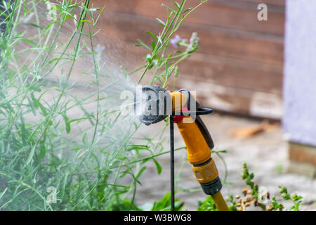 Jardin Portable système d'irrigation automatique tuyau en plastique avec une tête de pulvérisation douche monté sur la pelouse L'arrosage. Banque D'Images