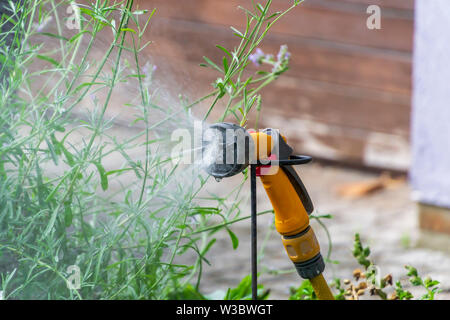 Jardin Portable système d'irrigation automatique tuyau en plastique avec une tête de pulvérisation douche monté sur la pelouse L'arrosage. Banque D'Images