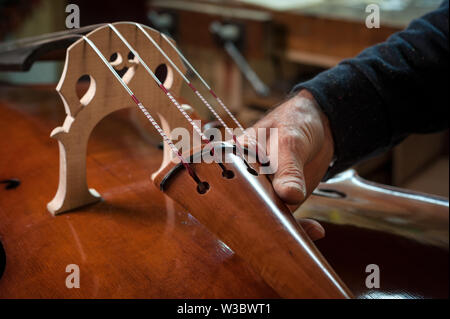 Le maître luthier construit une contrebasse dans son atelier Banque D'Images