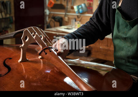 Le maître luthier construit une contrebasse dans son atelier Banque D'Images