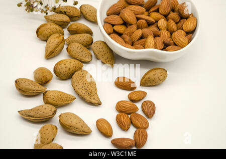 Amandes pelées dans Bol en porcelaine blanche à côté d'amande et les graines non traitées de fleurs sèches sur fond blanc Banque D'Images