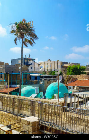 Vue sur les toits de divers bâtiments, d'un palmier, dans la vieille ville d'Acre (Akko), Israël Banque D'Images