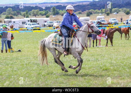 Jeune homme équitation dans les courses de barils la concurrence dans tous pays, Bungendore, NSW, Australie Banque D'Images