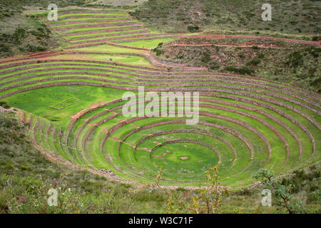 Terrasses de pisac dans la vallée de l'Urubamba près de Cusco (Pérou) Banque D'Images