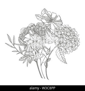 Bouquet. Les fleurs du printemps et de brindilles. Les Pivoines, Hortensia, Rose. Vintage illustration botanique. Le noir et blanc ensemble d'encombrement barbeaux, floral elemen Banque D'Images