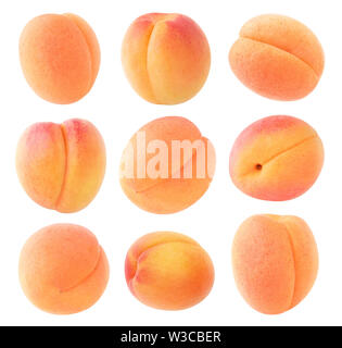 Abricots isolés. Collection d'abricot frais fruits de formes différentes isolé sur fond blanc avec clipping path Banque D'Images