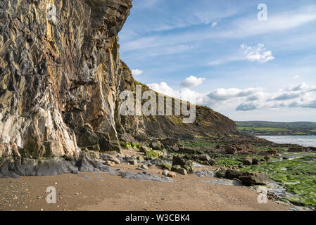Hautes Falaises à Newport Sands sur la côte de Pembrokeshire, Pays de Galles. Banque D'Images