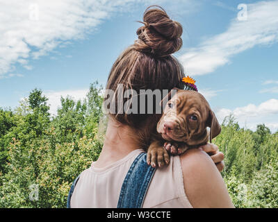 Chiot, couché sur l'épaule d'une femme Banque D'Images