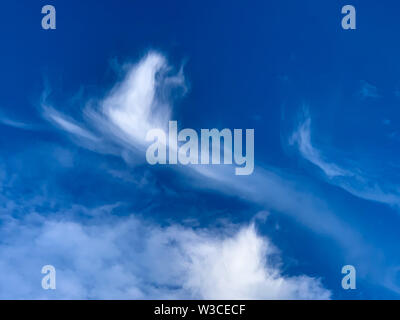 Cirrus est un genre de nuage atmosphérique généralement caractérisée par de fines, volets, donnant le type son nom du mot latin cirrus. Banque D'Images