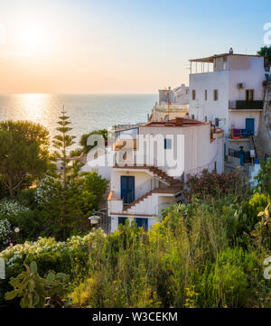 Vue panoramique de Peschici, Foggia, Pouilles Province (Pouilles), Italie. Banque D'Images