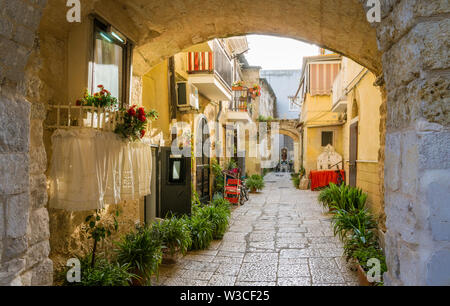 Vue panoramique de la vieille ville de Bari, Puglia (Pouilles), Italie. Banque D'Images