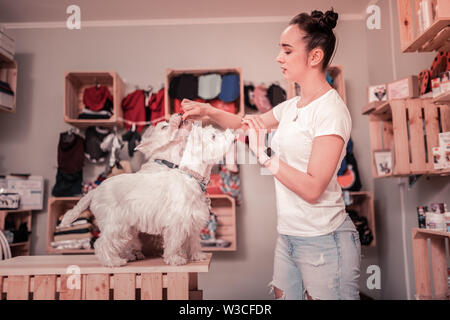 Le temps de manger. Jeune femme portant des jeans et t-shirt blanc nourrir son chien fluffy mignon Banque D'Images