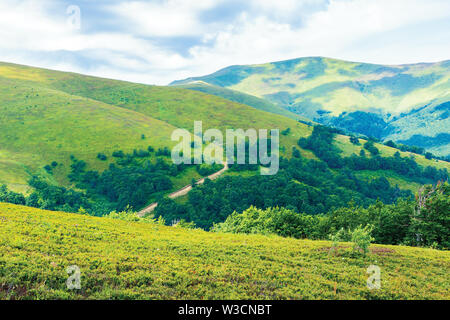 Paysage d'été magnifique en montagne. Green herbeuses des prairies alpines couvertes dans les plants de bleuets sous un ciel couvert en amont de la route. Banque D'Images