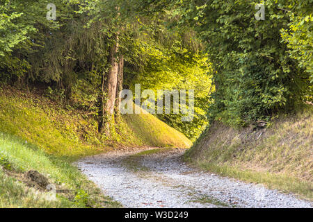 Tunnel de feuillage en chemin rural non pavées comme concept pour perspective l'avenir incertain Banque D'Images