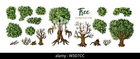 Arbres de fantaisie. constructeur Les arbres, les feuilles et les branches pour la conception d'éléments Illustration de Vecteur