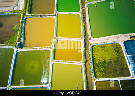 Image aérienne de grandes fermes d'élevage de crevettes dans la région côtière de Giao Thuy, Vietnam. Banque D'Images