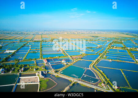 Image aérienne de grandes fermes d'élevage de crevettes dans la région côtière de Giao Thuy, Vietnam. Banque D'Images