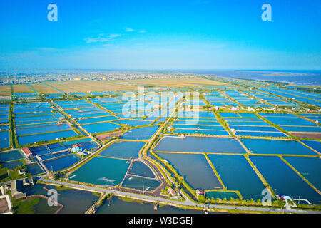 Image aérienne de grandes fermes d'élevage de crevettes dans la région côtière de Giao Thuy, Vietnam. Banque D'Images