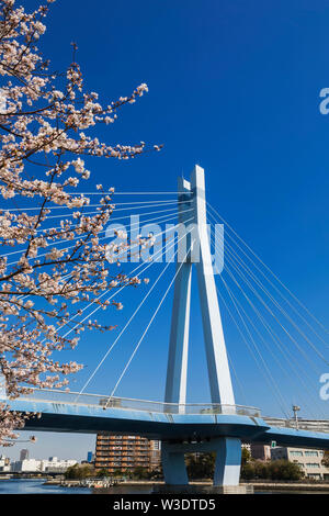 Le Japon, Honshu, Tokyo, Toyosu, Shinonome, Sakurabashi Bridge Banque D'Images