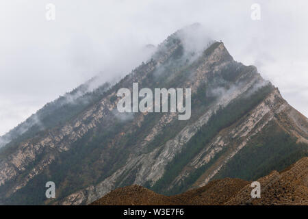 Photo de montagne avec des pins, plus de fumée tops Banque D'Images