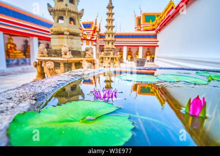 Le petit pot à Phra Rabiand cloître avec de l'eau croissante à l'intérieur de fleurs lys, Wat Pho, Bangkok, Thaïlande Banque D'Images