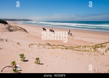 L'équitation sur la plage à Kasouga, à mi-chemin entre Kenton-on-Sea et Port Alfred dans l'Eastern Cape, Afrique du Sud Banque D'Images