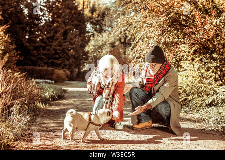 Happy senior couple walking leur chien ensemble. Banque D'Images